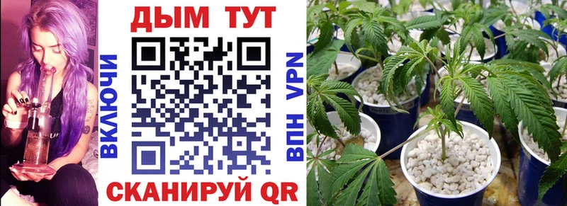 МАРИХУАНА LSD WEED  Соликамск 